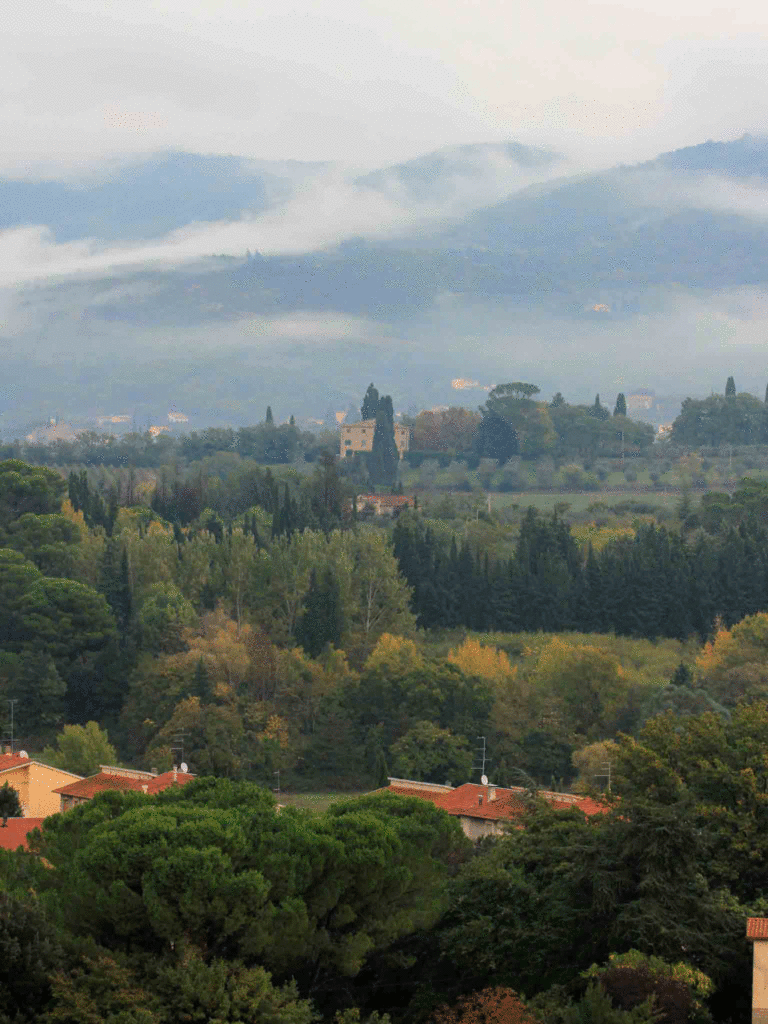 landscape near Arezzo, Italy