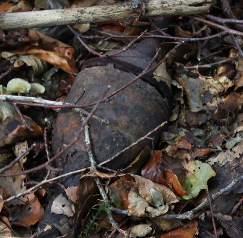 rusty metal grenade half hidden by sticks and leaves