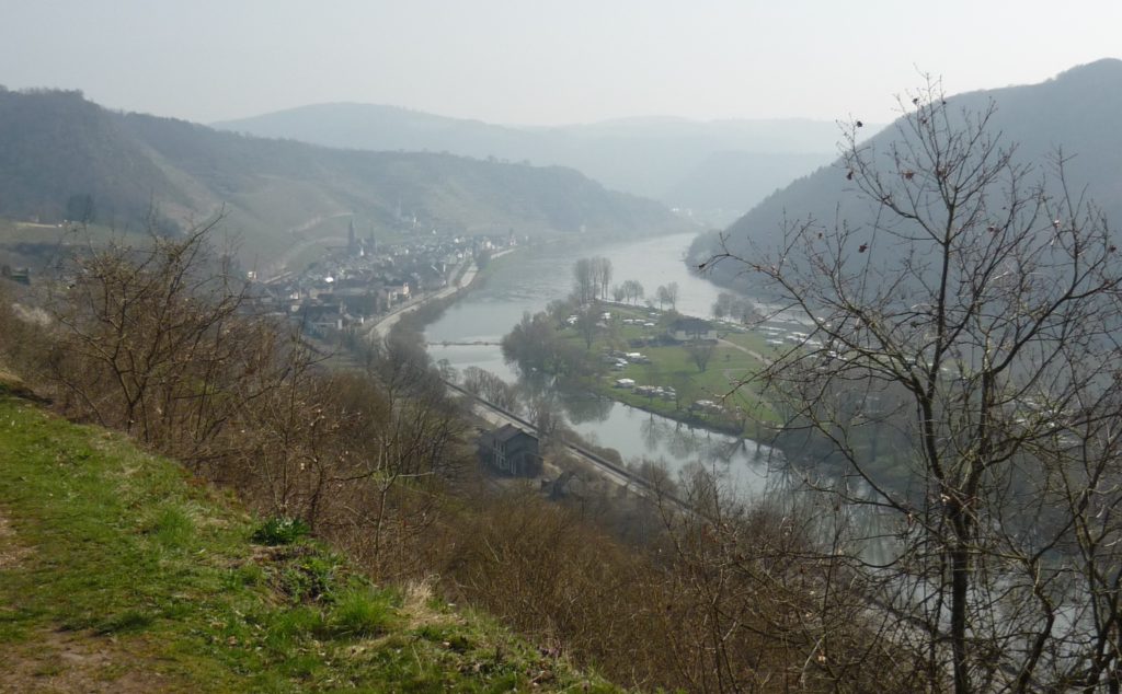 Mosel River gorge from a grassy path above
