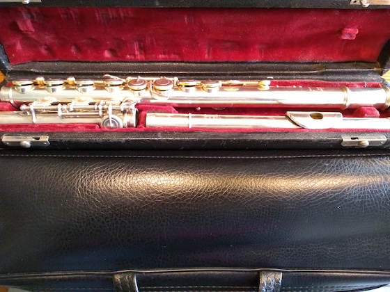 flute in red velvet case