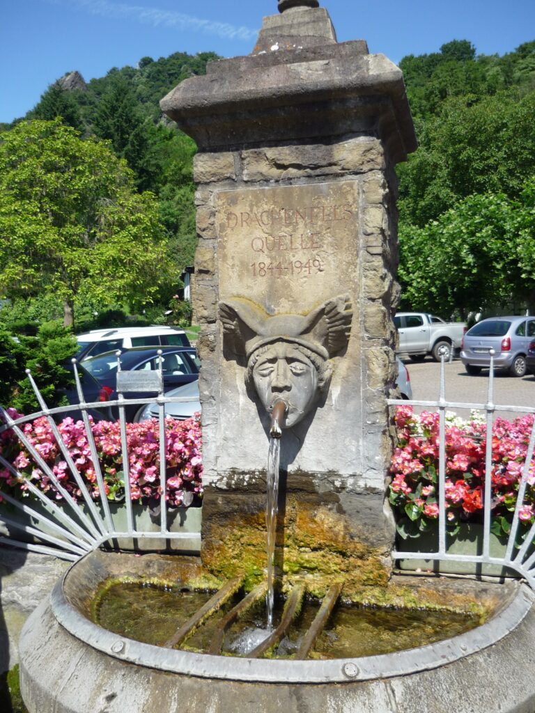 A stone face with a water spout mouth. Pink flowers behind.