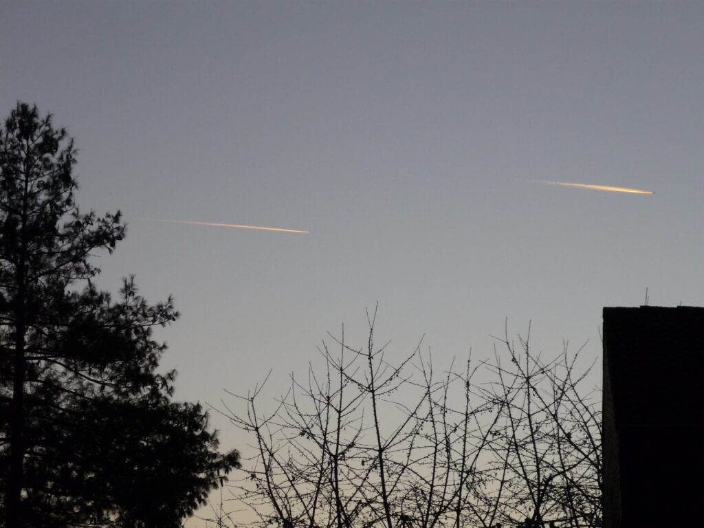 White trails from planes in the evening sky over black tree silhouettes