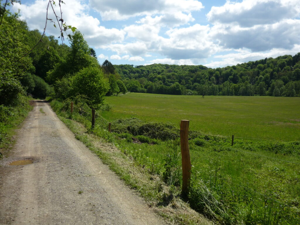 Green meadow in a valley next to a level road.