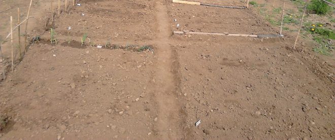 close up of light orange garden soil newly turned