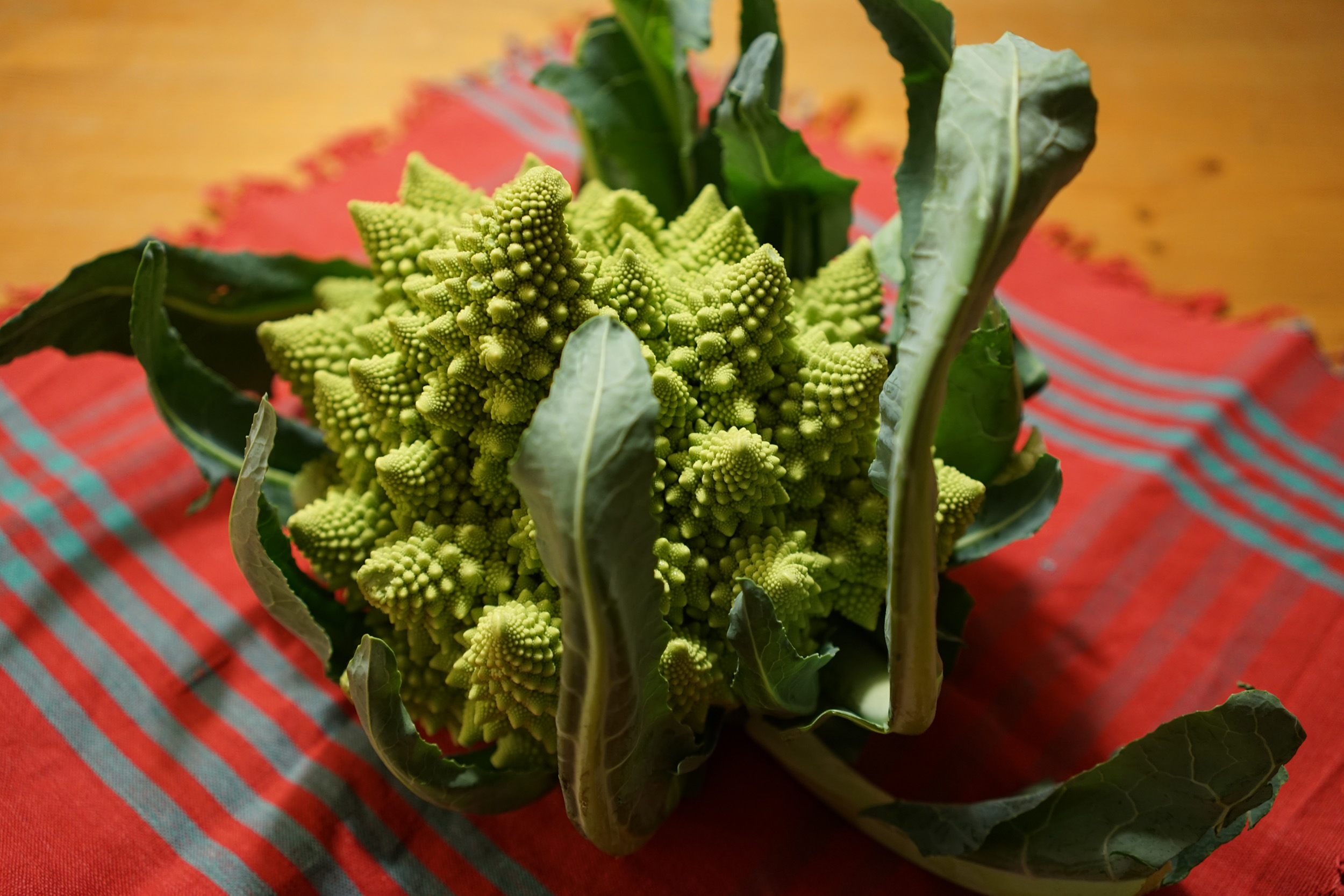 Whole head of pale green cauliflower with green minarets on a red napkin