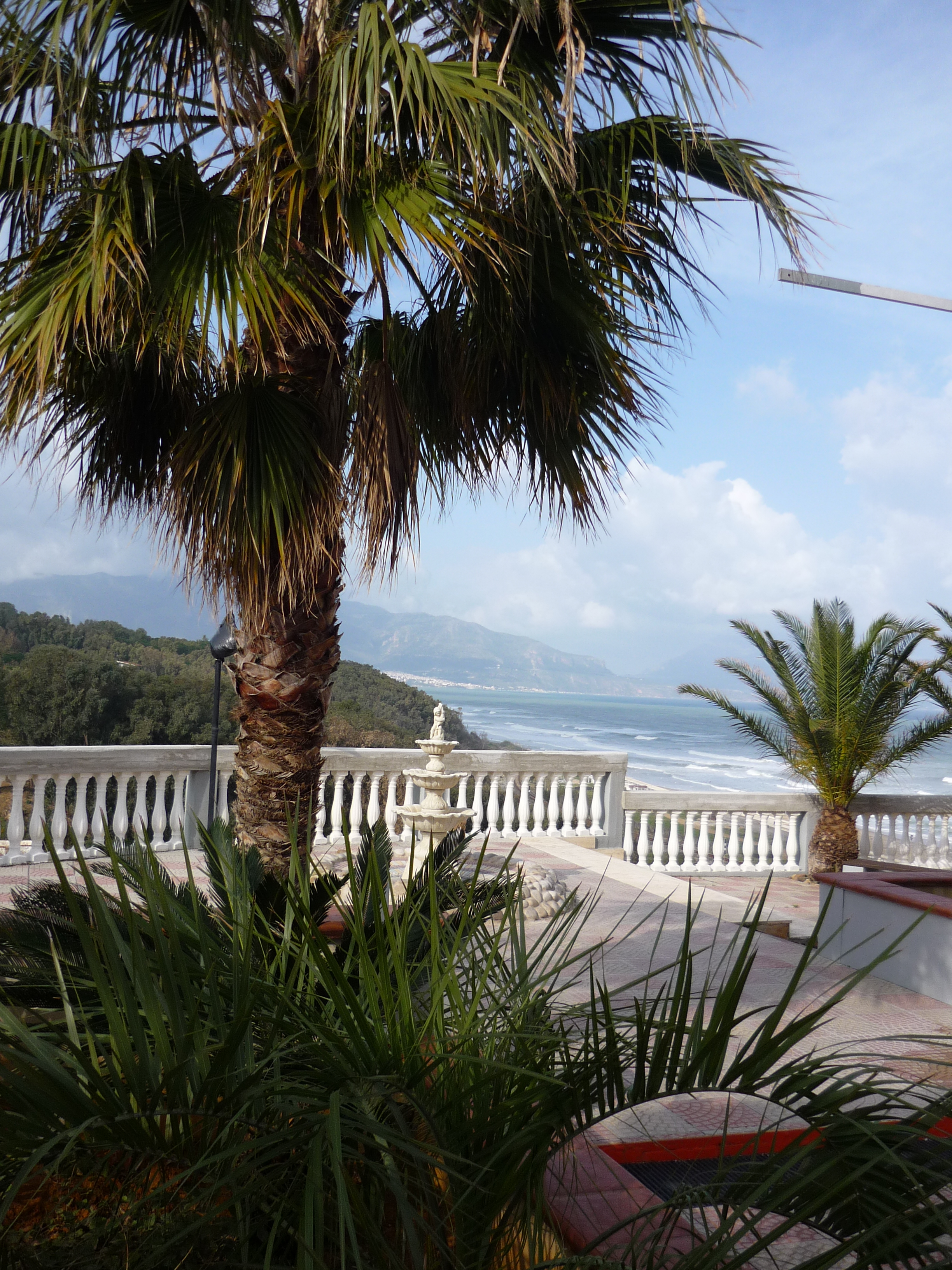 palm trees with a white plaster railing and the mountains and ocean of Sicily behind