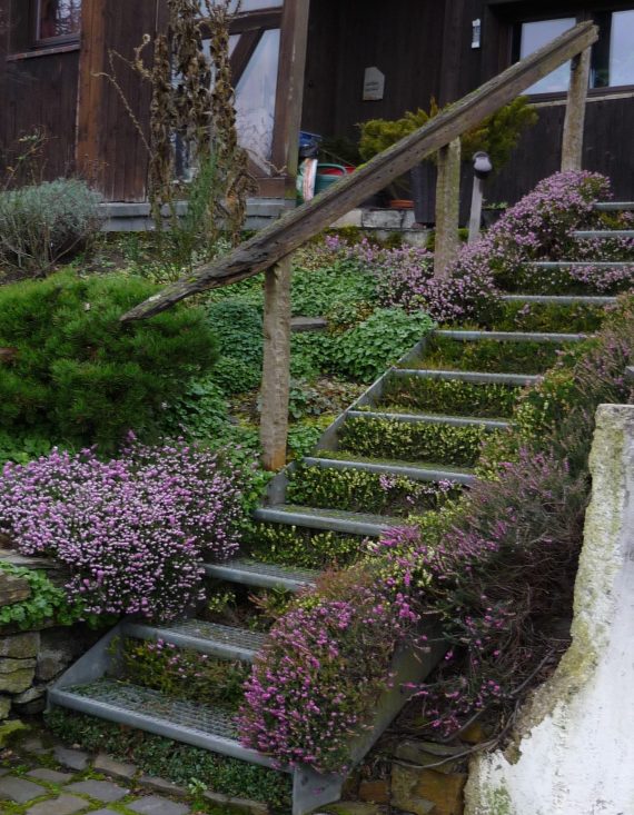 outdoor steel staircase with blooming heather filling in the risers