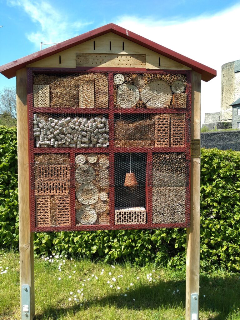 bee hotel