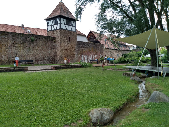 playground park with wading stream