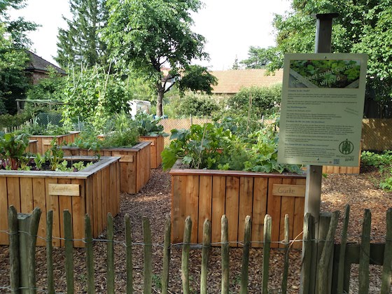 raised bed veggie gardens in Michelstadt