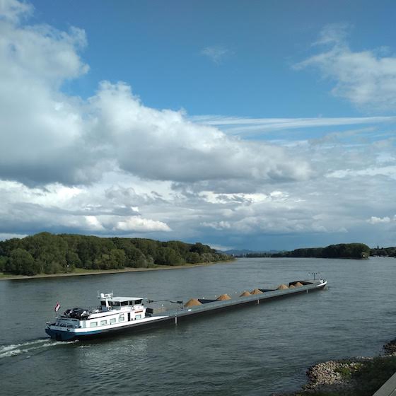 books for smooth sailing on the Rhine
