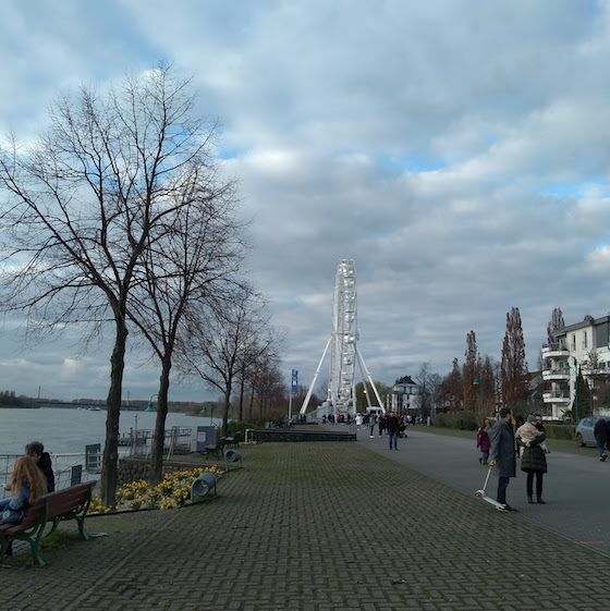 Ferris Wheel on the Rhine